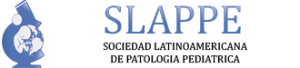 logo-slappe